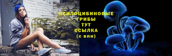 apvp Волоколамск