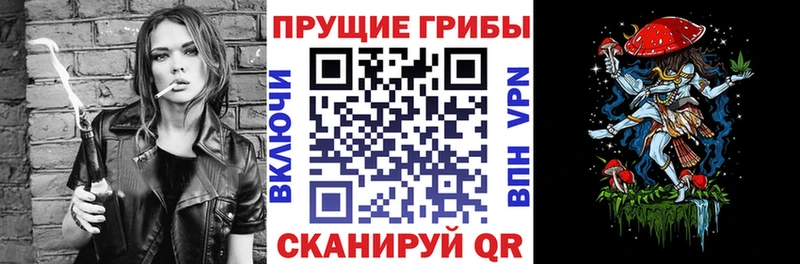 Галлюциногенные грибы Magic Shrooms  где купить наркотик  Верхотурье 