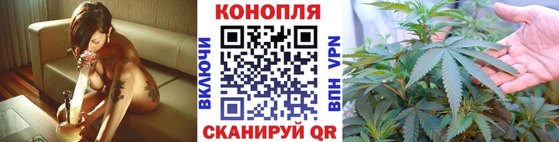 Шишки марихуана планчик  Верхотурье 